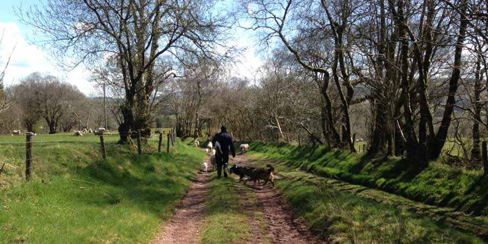 Working farm holiday