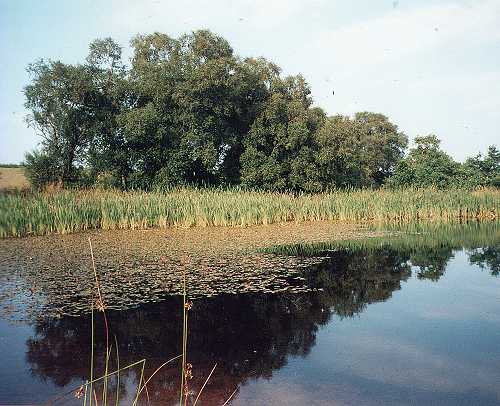 Aberhyddnant fishing