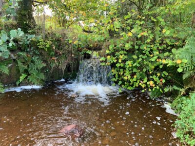 Autumn waterfall
